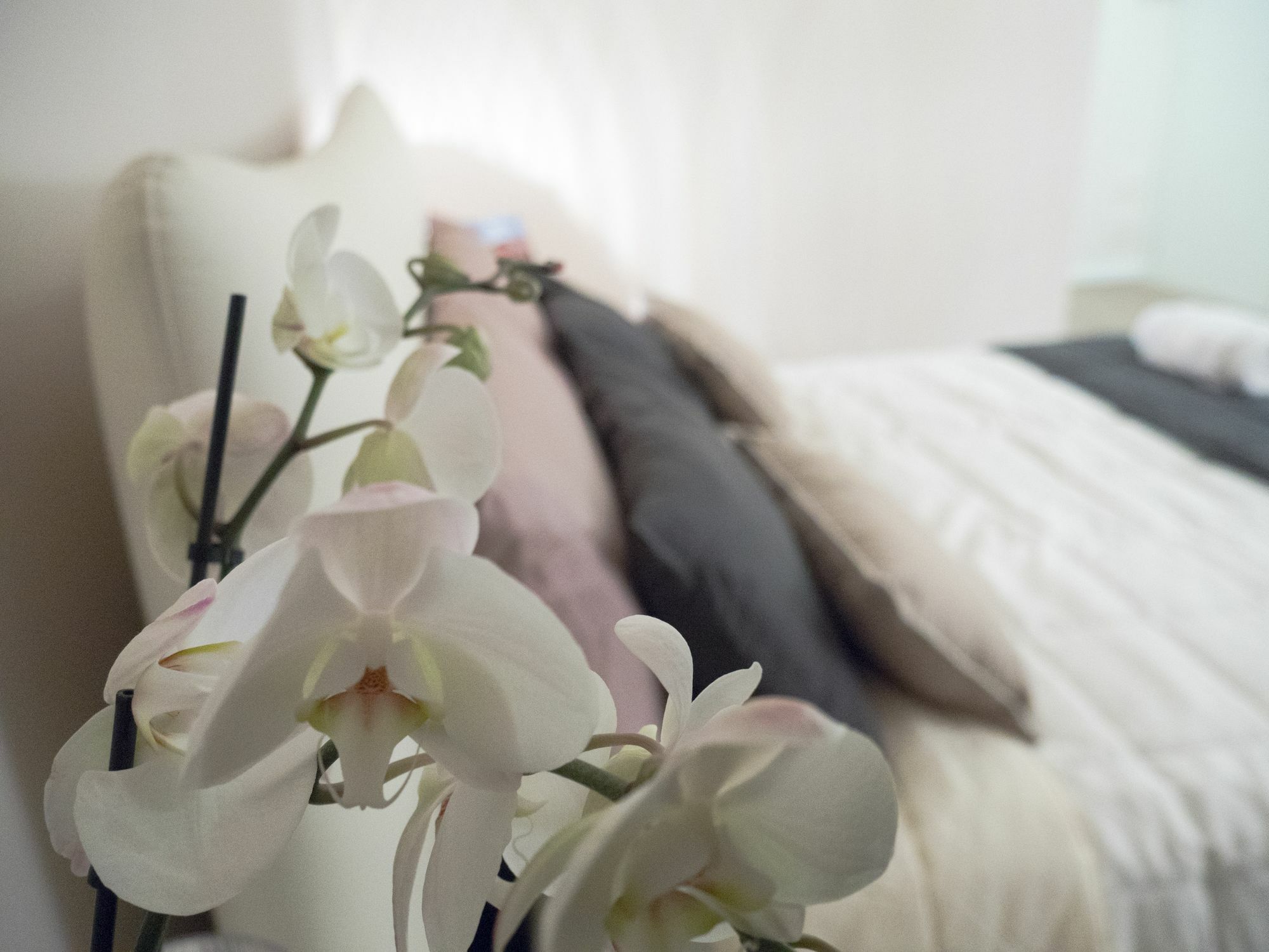 Relais Love Verona Luaran gambar